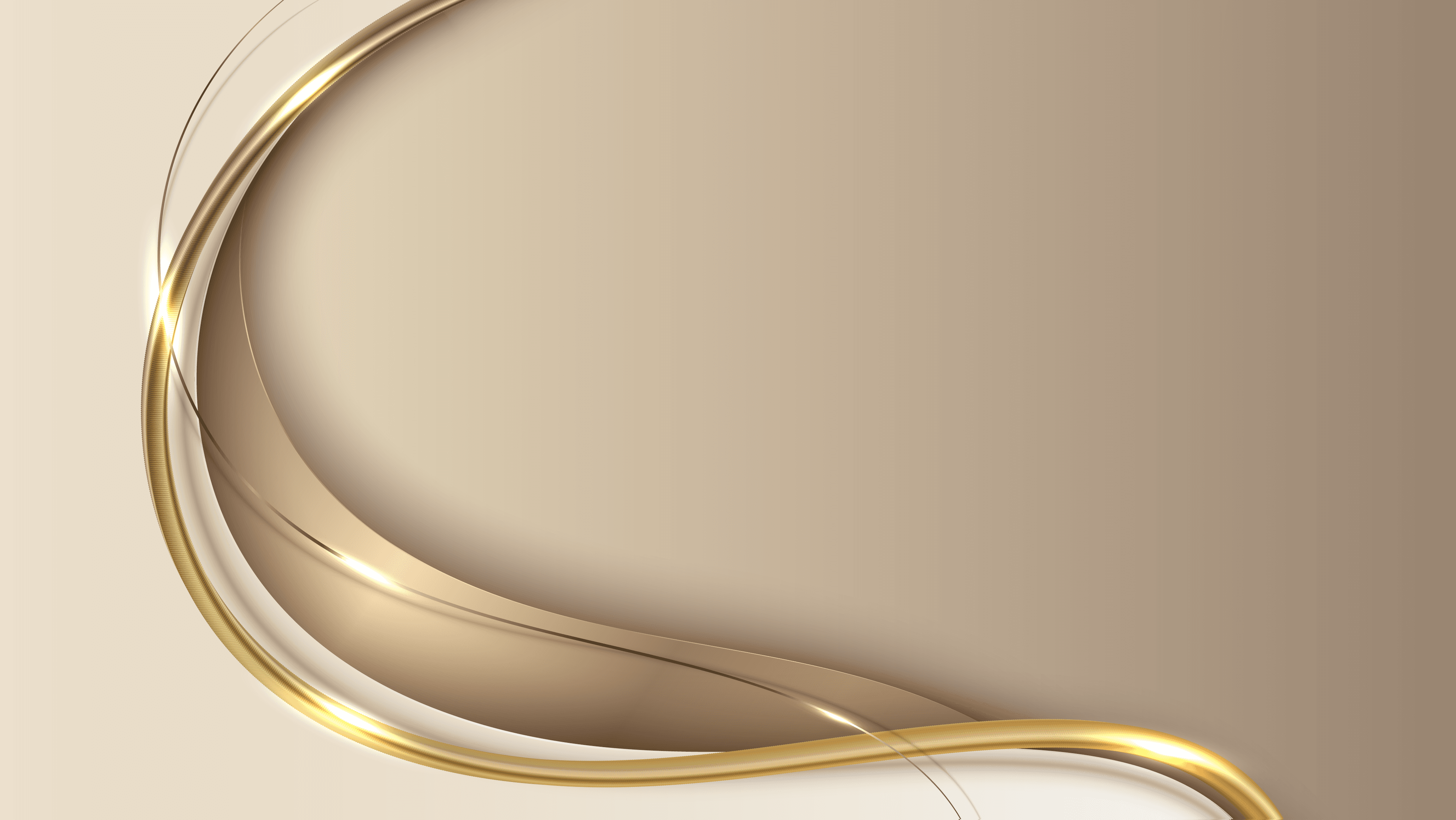contsact section background
